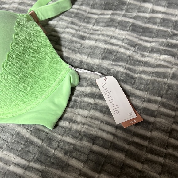 Ambrielle Bra - Picture 3 of 6